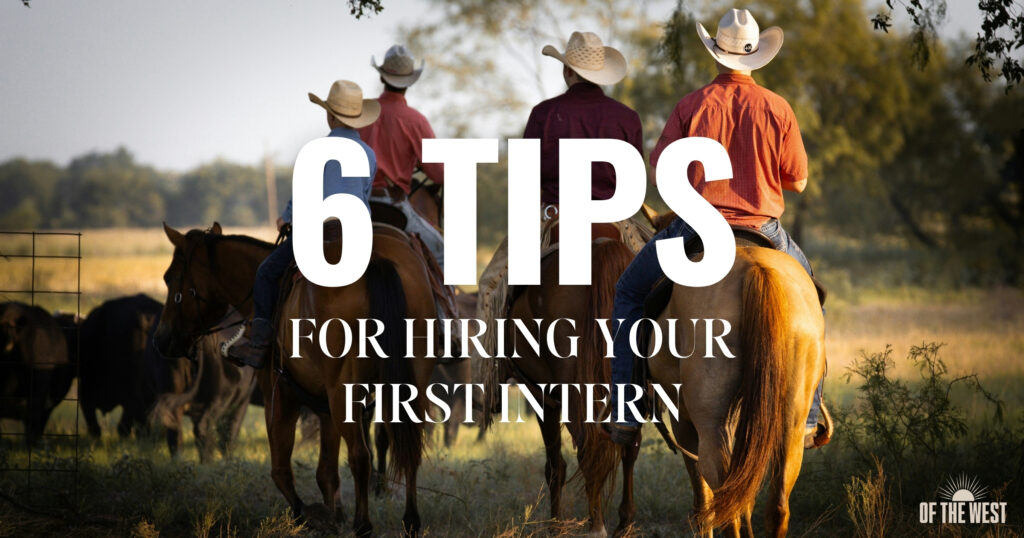 6 Tips for Hiring Your First Intern