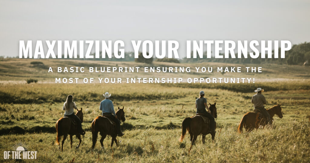 11 Tips to Make the Most Out of Your Internship