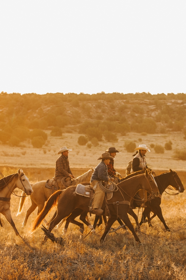 AQHA Announces Formal Partnership with Of The West