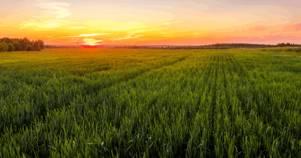 An industry united behind agriculture jobs
