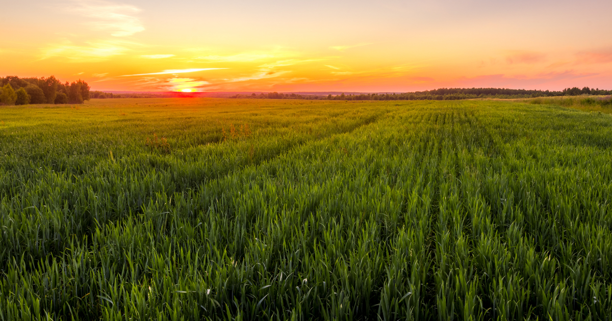 An Industry United Behind Agriculture Jobs