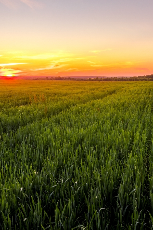 An Industry United Behind Agriculture Jobs