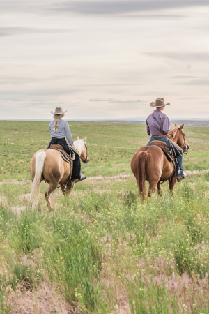 Filling a Need and Fostering a Community in ag + western industries