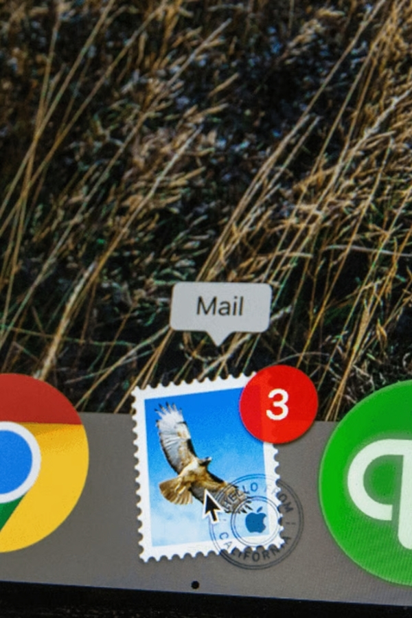 The Importance of Professional Email Addresses for Job Seekers