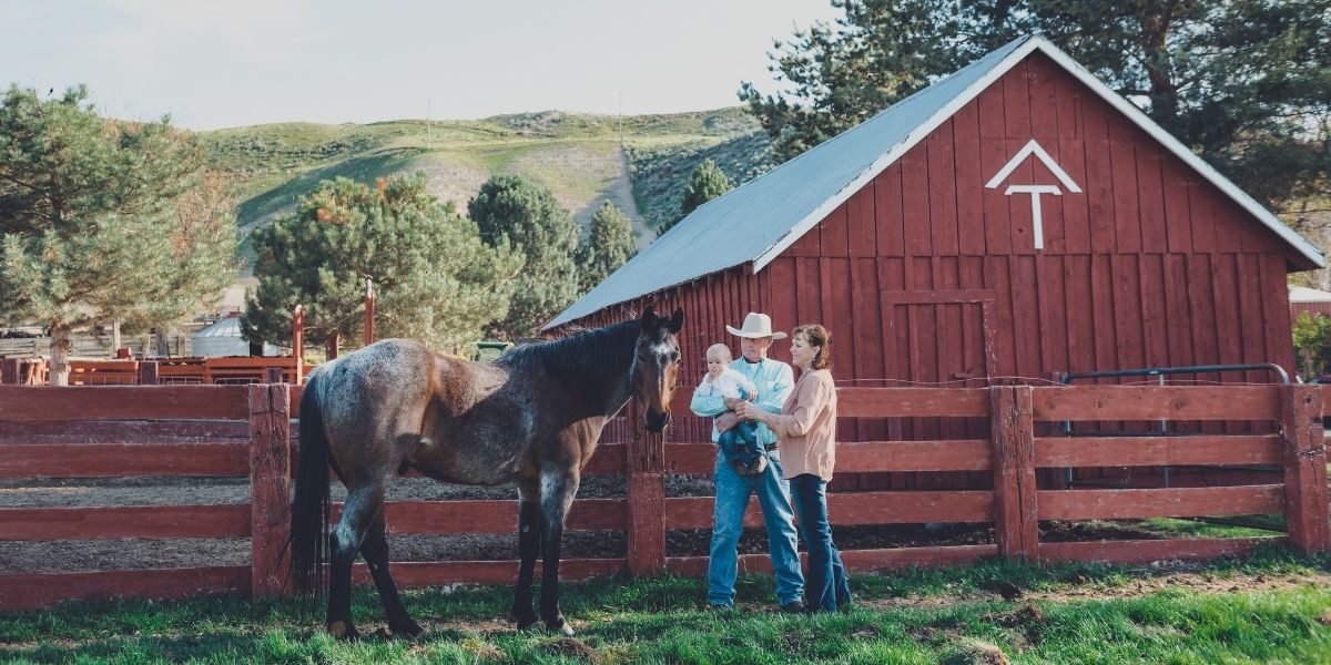 Lessons I've Learned from my Parents | Jessie Jarvis