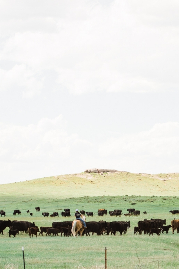 10 Resume Mistakes Ag Job Seekers Make