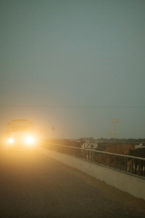 The Scariest Moment of My Life, and What It Taught Me